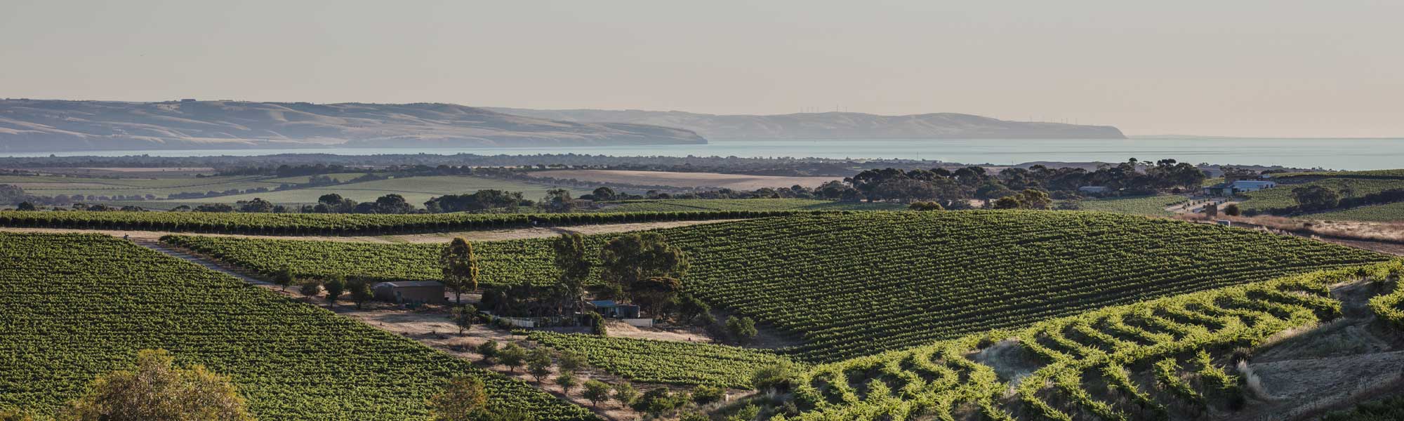 101034-McLaren-Vale-2000.jpg